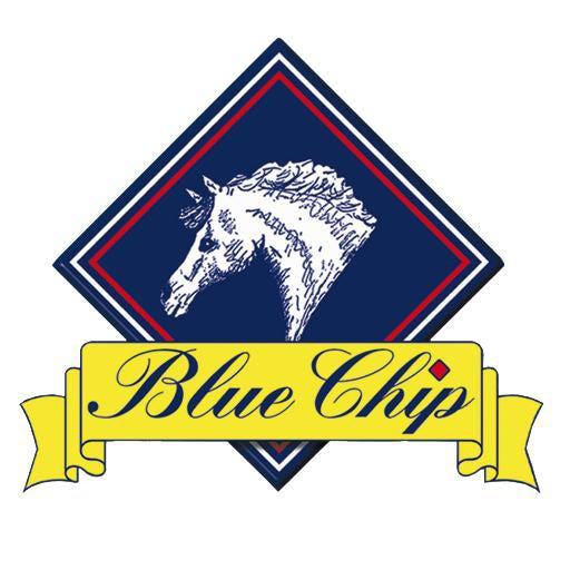 Blue Chip logo